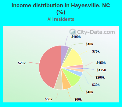 Income distribution in Hayesville, NC (%)