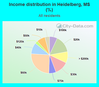 Income distribution in Heidelberg, MS (%)