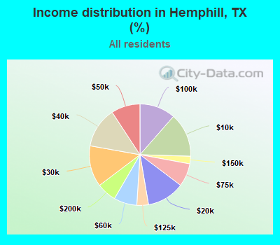 Income distribution in Hemphill, TX (%)