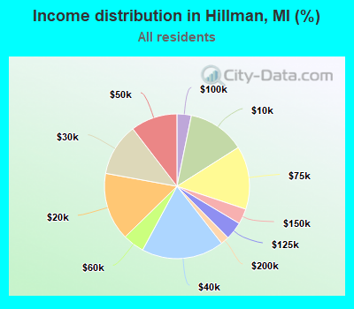 Income distribution in Hillman, MI (%)