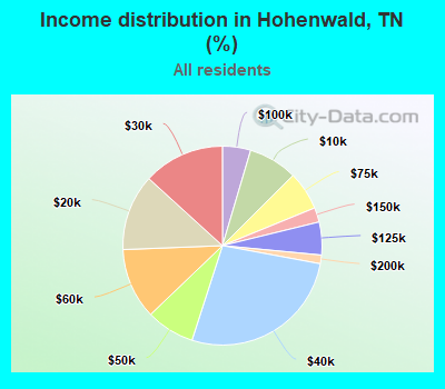 Income distribution in Hohenwald, TN (%)