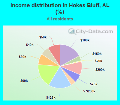 Income distribution in Hokes Bluff, AL (%)