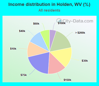 Income distribution in Holden, WV (%)