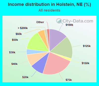 Income distribution in Holstein, NE (%)