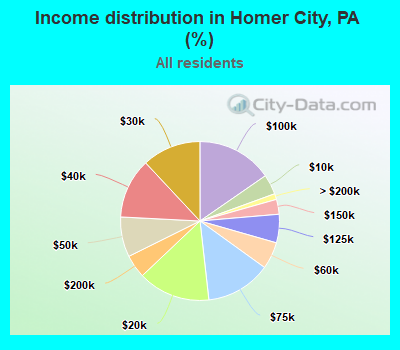 Income distribution in Homer City, PA (%)