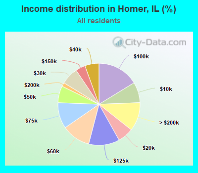 Income distribution in Homer, IL (%)