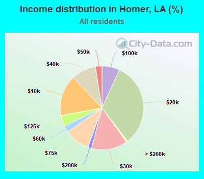 Income distribution in Homer, LA (%)