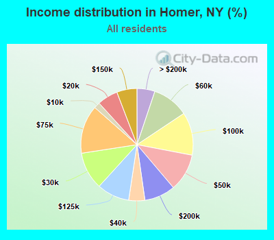 Income distribution in Homer, NY (%)