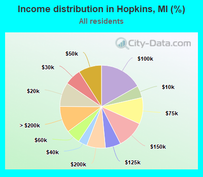 Income distribution in Hopkins, MI (%)