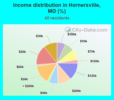 Income distribution in Hornersville, MO (%)