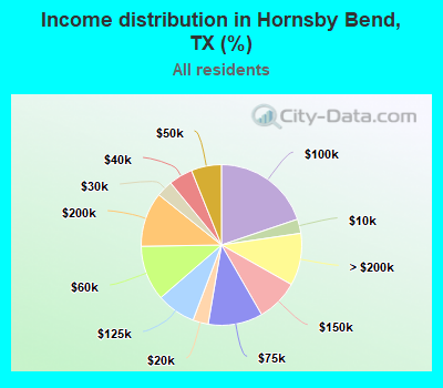 Income distribution in Hornsby Bend, TX (%)