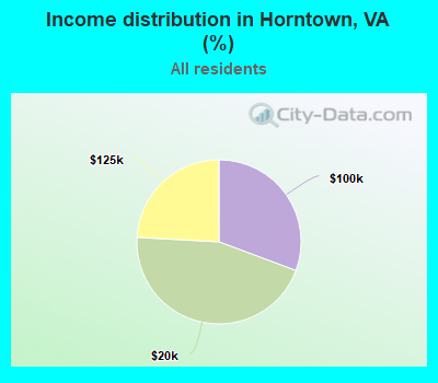 Income distribution in Horntown, VA (%)