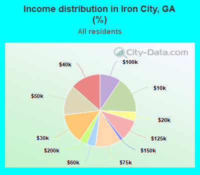 Income distribution in Iron City, GA (%)