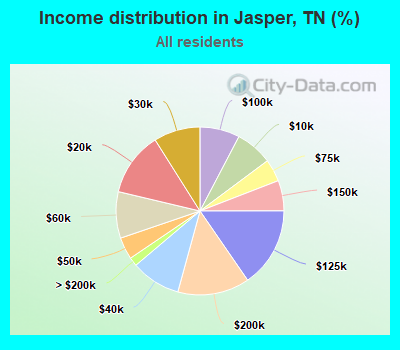 Income distribution in Jasper, TN (%)