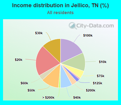 Income distribution in Jellico, TN (%)