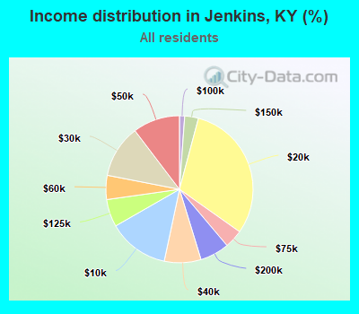 Income distribution in Jenkins, KY (%)