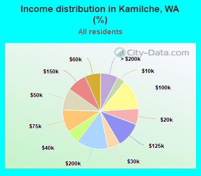 Income distribution in Kamilche, WA (%)