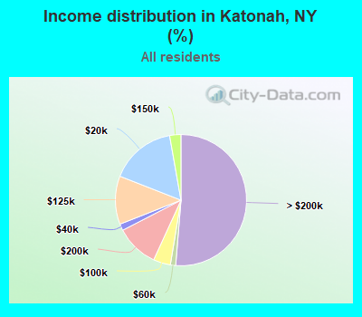 Income distribution in Katonah, NY (%)