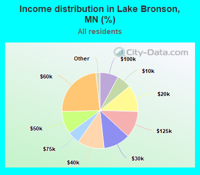 Income distribution in Lake Bronson, MN (%)