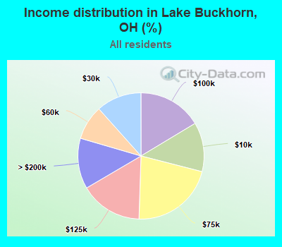 Income distribution in Lake Buckhorn, OH (%)