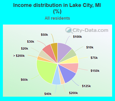 Income distribution in Lake City, MI (%)