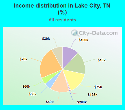 Income distribution in Lake City, TN (%)