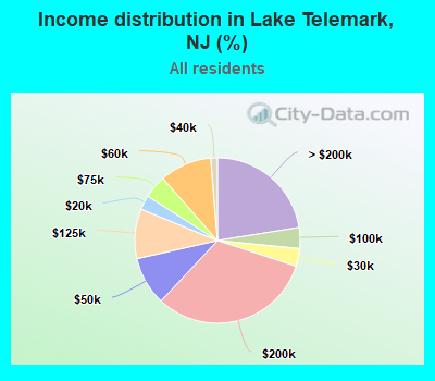 Income distribution in Lake Telemark, NJ (%)