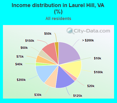 Income distribution in Laurel Hill, VA (%)