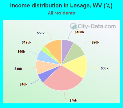 Income distribution in Lesage, WV (%)