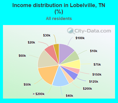 Income distribution in Lobelville, TN (%)