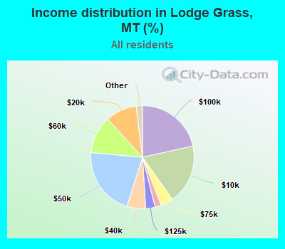 Income distribution in Lodge Grass, MT (%)