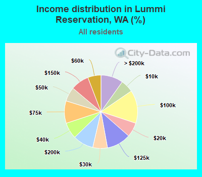 Income distribution in Lummi Reservation, WA (%)
