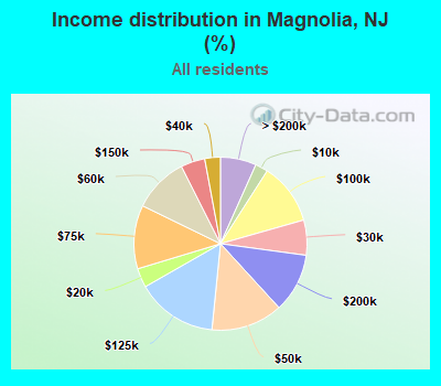 Income distribution in Magnolia, NJ (%)