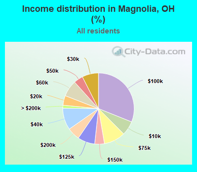 Income distribution in Magnolia, OH (%)