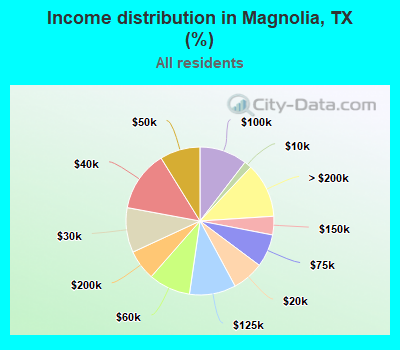 Income distribution in Magnolia, TX (%)