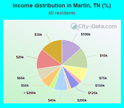 Income distribution in Martin, TN (%)
