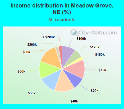 Income distribution in Meadow Grove, NE (%)