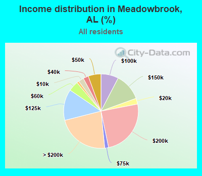 Income distribution in Meadowbrook, AL (%)