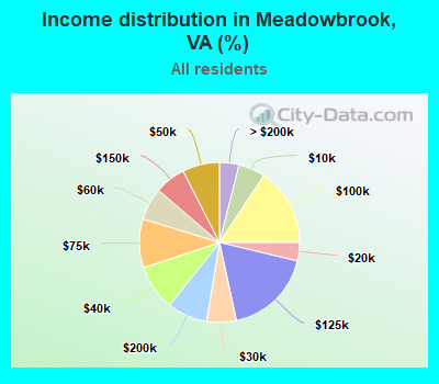 Income distribution in Meadowbrook, VA (%)