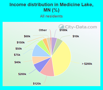 Income distribution in Medicine Lake, MN (%)
