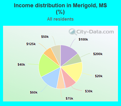 Income distribution in Merigold, MS (%)