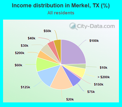 Income distribution in Merkel, TX (%)