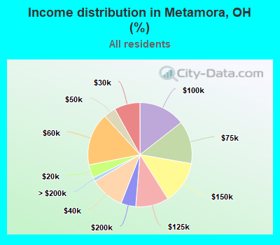 Income distribution in Metamora, OH (%)