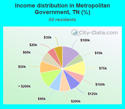 Income distribution in Metropolitan Government, TN (%)
