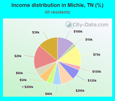 Income distribution in Michie, TN (%)