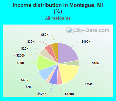 Income distribution in Montague, MI (%)