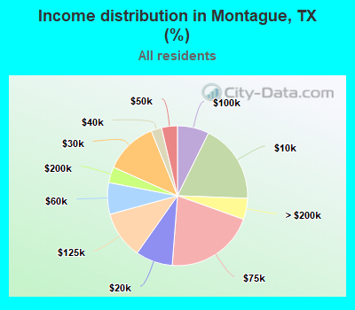 Income distribution in Montague, TX (%)