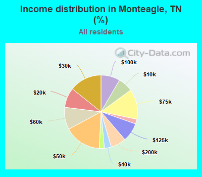 Income distribution in Monteagle, TN (%)