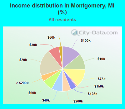 Income distribution in Montgomery, MI (%)