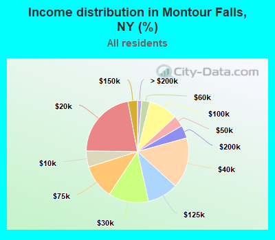 Income distribution in Montour Falls, NY (%)